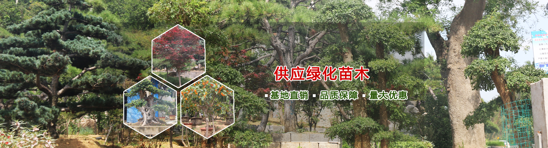 節電器印制板圖